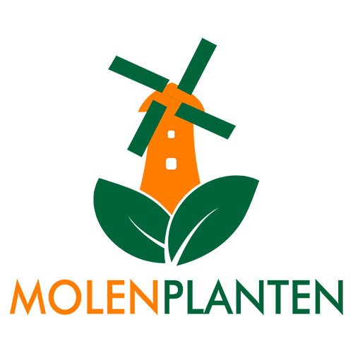Molen Planten Hidrocultura Ltda