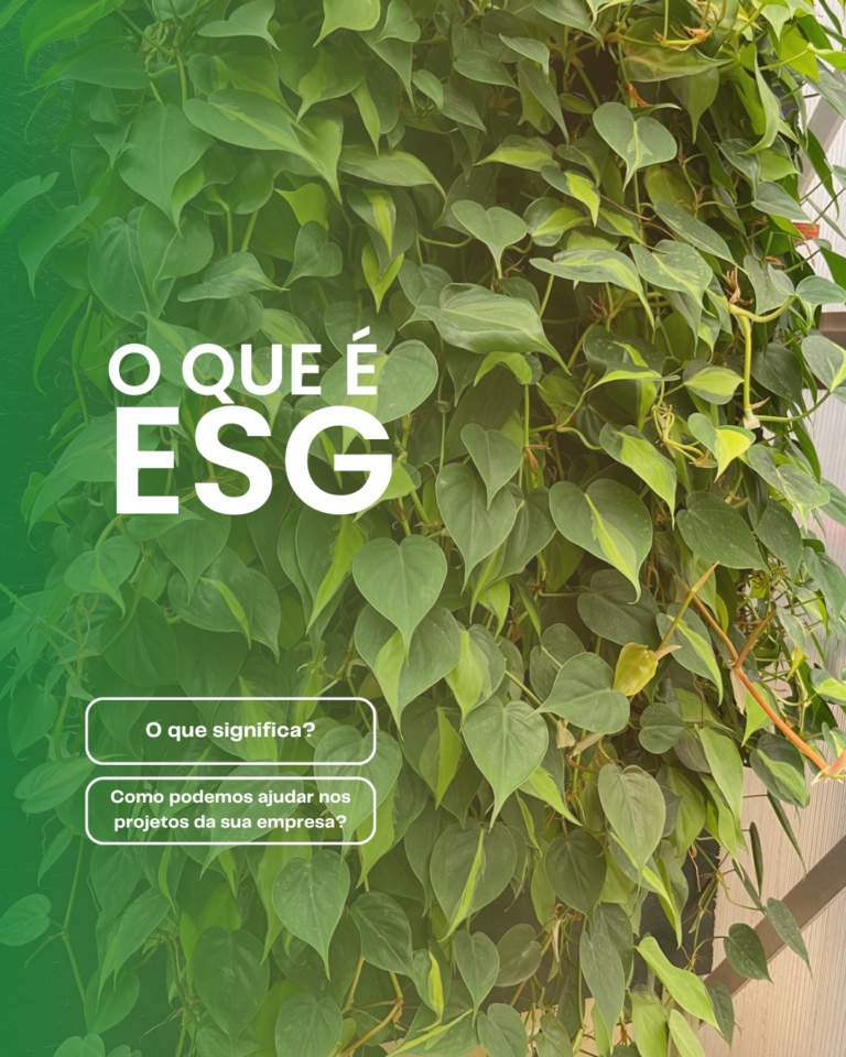 Esg O Que é Quais Os Princípios E Para Que Serve Molenplanten